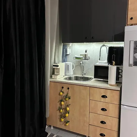 Amaryllis 23 * Serres